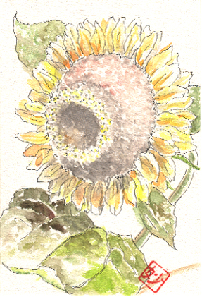 �t��: Postcard