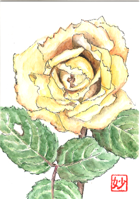 �t��: Postcard