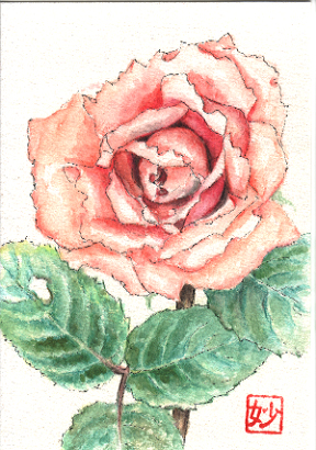�t��: Postcard