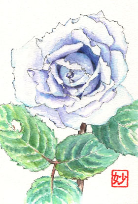 �t�� Postcard